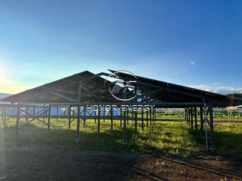 Solar Farmland